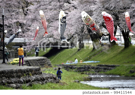Zhongshan embankment in spring Zhongshan embankment in spring 99411544