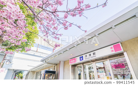 Kawazu station station building and Kawazu cherry blossoms [Shizuoka prefecture, Kamo district, Kawazu town] 99411545