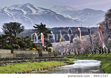 Zhongshan embankment in spring 99411547