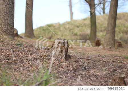 Harunoyama (Yanagita Nuoyama Burial Mound *Himi City, Toyama Prefecture) Harunoyama (Yanagita Nuoyama Burial Mound *Himi City, Toyama Prefecture) 99412031