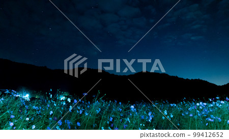 Cosmos field and Orion are hidden 99412652