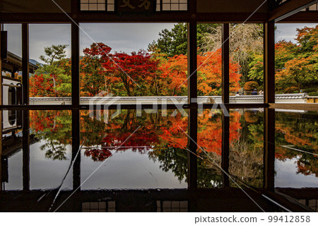 Autumn leaves 99412858