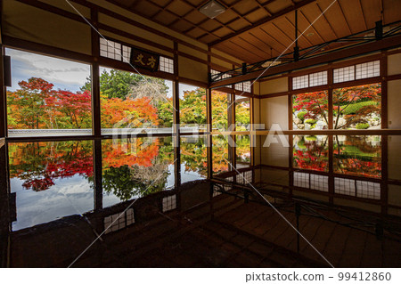 Autumn leaves 99412860