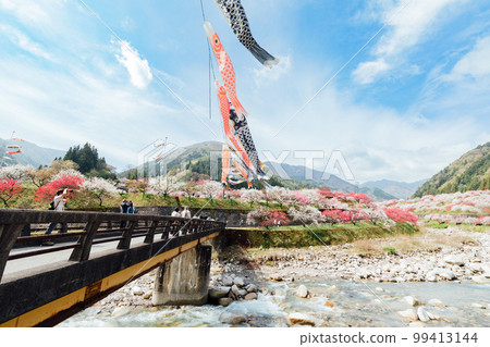 阿智村、長野月川溫泉、花桃之鄉的絕景 阿智村、長野月川溫泉、花桃之鄉的絕景 99413144