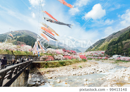 阿智村、長野月川溫泉、花桃之鄉的絕景 阿智村、長野月川溫泉、花桃之鄉的絕景 99413148