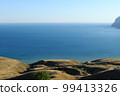 Seascape. Cliff, sea, sun, grass on a clear day. Holidays at sea. Landscape with a calm sea. Photo of southern nature without people. Summer or fall tourism, hills and mountains 99413326