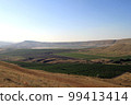 Mountain landscape. Vineyard on a sunny day. Blue sky, green bushes and trees, hills. South view of a grape plantation. Agriculture, gardening, subsistence farming. Summer morning landscape photo 99413414