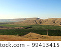Mountain landscape. Vineyard on a sunny day. Blue sky, green bushes and trees, hills. South view of a grape plantation. Agriculture, gardening, subsistence farming. Summer morning landscape photo 99413415