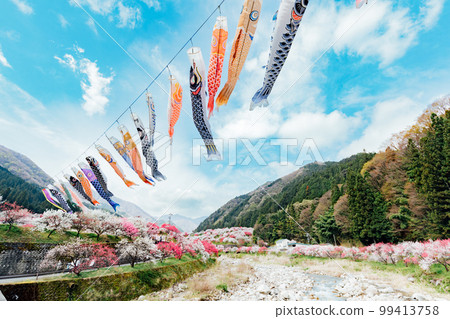 阿智村、長野月川溫泉、花桃之鄉的絕景 阿智村、長野月川溫泉、花桃之鄉的絕景 99413758