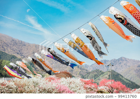 阿智村、長野月川溫泉、花桃之鄉的絕景 99413760