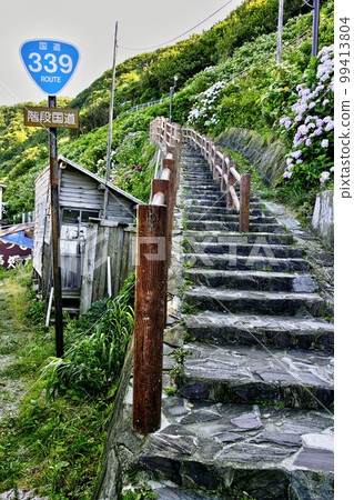 339路 339路 99413804
