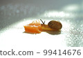 snail eating carrot 99414676