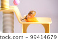 Snail sitting on a toy 99414679