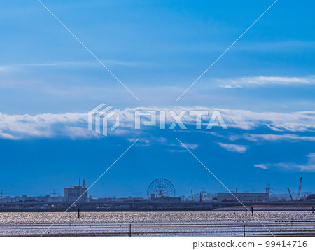 Funabashi Sanbanze tidal flats in spring 99414716