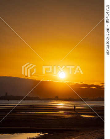 Evening view of Funabashi Sanbanze tidal flats in spring 99414719