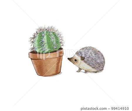 仙人掌和刺猬朋友可愛插畫素材 99414910