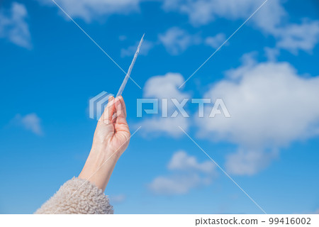 阿寒湖的冰柱 99416002