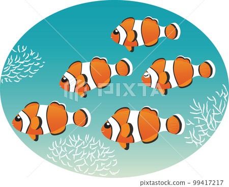 Anemone fish Anemone fish 99417217