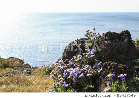 Keuneong, Namwonkeuneong Coast, Seogwipo-si, Jeju Island Keuneong, Namwonkeuneong Coast, Seogwipo-si, Jeju Island 99417549