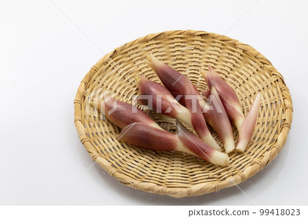 Myoga in a colander Myoga in a colander 99418023