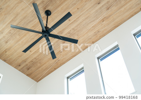 Ceiling fan atrium 99418168