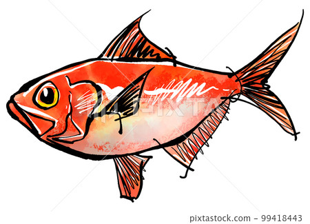 Hand-drawn illustration of Kinmedai (brush writing watercolor sumi-e style) 99418443