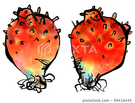 Hand-drawn illustration of sea squirt (brush writing watercolor ink style) 99418445