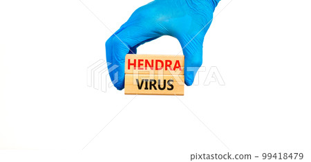 Hendra virus symbol. Concept words Hendra virus on wooden block. Beautiful white table white background. Doctor hand blue medical glove. Medical hendra virus concept. Copy space. Hendra virus symbol. Concept words Hendra virus on wooden block. Beautiful white table white background. Doctor hand blue medical glove. Medical hendra virus concept. Copy space. 99418479