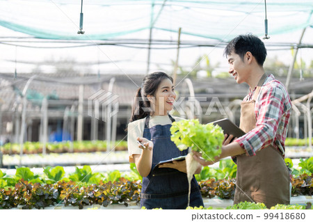 Asian woman and man farmer working together in organic hydroponic salad vegetable farm. using tablet inspect quality of lettuce in greenhouse garden Asian woman and man farmer working together in organic hydroponic salad vegetable farm. using tablet inspect quality of lettuce in greenhouse garden 99418680