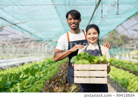 Two young Asian couple farmers working in vegetables hydroponic farm with happiness. man and woman farmer carrying box of green salads looking at camera with smile in the green house farm Two young Asian couple farmers working in vegetables hydroponic farm with happiness. man and woman farmer carrying box of green salads looking at camera with smile in the green house farm 99418684