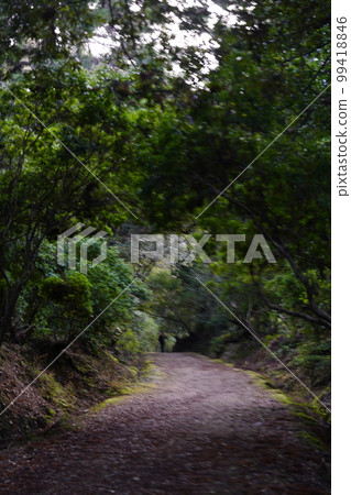 Nara Park Negi no Michi 99418846