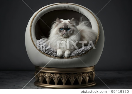 cat in a luxury cat bed illustration generative ai cat in a luxury cat bed illustration generative ai 99419520
