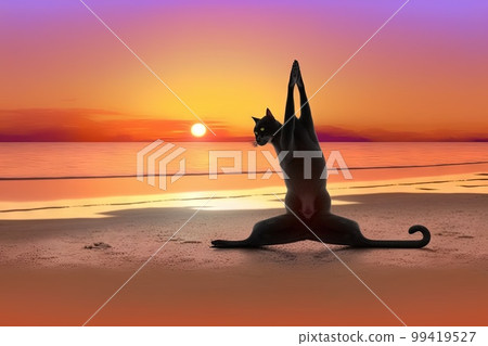 cat practicing yoga on the beach at sunset illustration generative ai 99419527