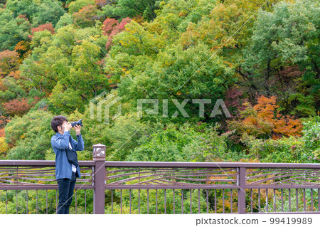 A man taking a picture of autumn leaves at a shooting spot A man taking a picture of autumn leaves at a shooting spot 99419989