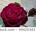 玫瑰	 99420383