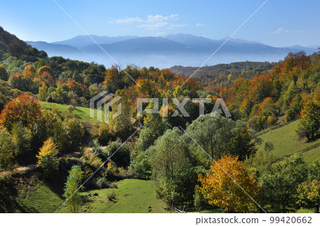 Mountain autumn landscape with colorful forest 99420662