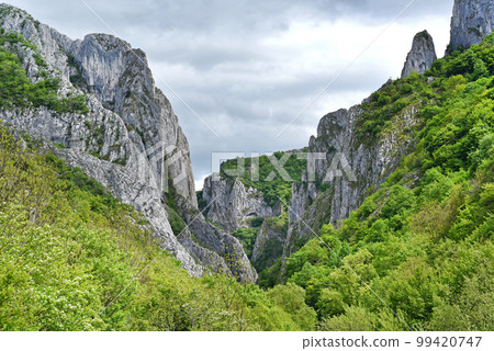 Cheile Turzii gorge, natural reserve, Romania Cheile Turzii gorge, natural reserve, Romania 99420747