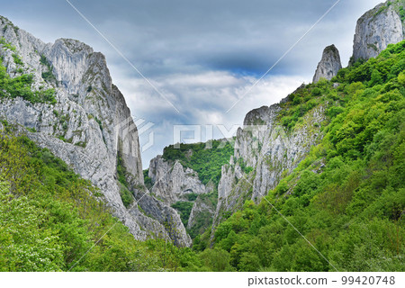 Majestic limestone gorge. Cheile Turzii, Romania Majestic limestone gorge. Cheile Turzii, Romania 99420748
