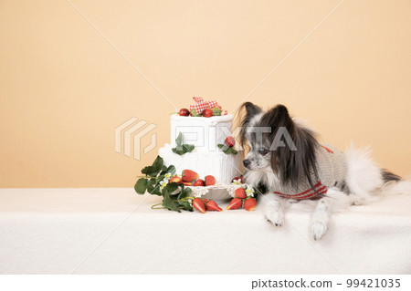 坐著的巴比龍和草莓蛋糕 99421035