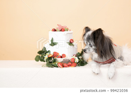 坐著的巴比龍和草莓蛋糕 坐著的巴比龍和草莓蛋糕 99421036