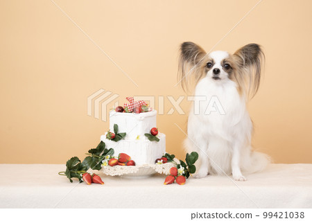 坐著的巴比龍和草莓蛋糕 99421038
