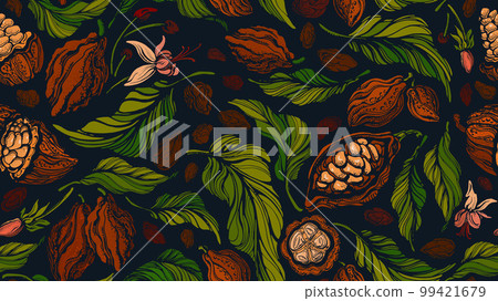 Cocoa vector seamless pattern Dark chocolate, food 99421679