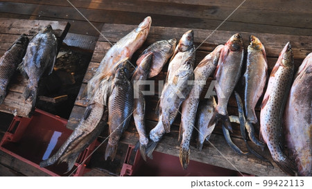 A variety of river fish from the Amur River on the fisherman's table. A variety of river fish from the Amur River on the fisherman's table. 99422113