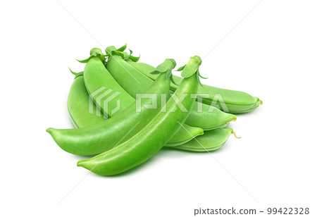snap peas 小吃豌豆插畫真實 snap peas 小吃豌豆插畫真實 99422328