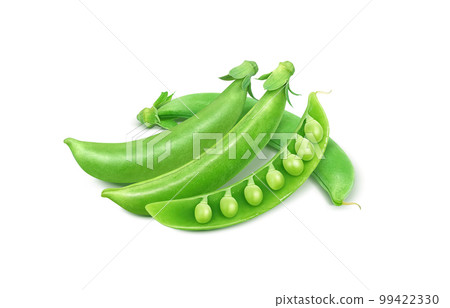 snap peas snack peas illustration real snap peas snack peas illustration real 99422330