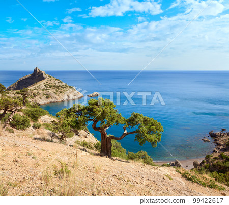 juniper tree on rock and sea with "Capchik" cape behind ("Novyj Svit" reserve, Crimea, Ukraine). 99422617