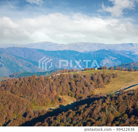 Autumn misty morning mountain hill 99422636
