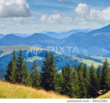Summer mountain landscape with flowering grassland in front 99422660