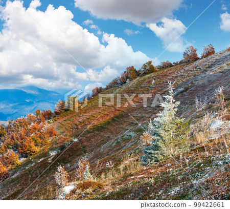 October Carpathian mountain Borghava plateau with first winter snow and autumn colorful bilberry bushes October Carpathian mountain Borghava plateau with first winter snow and autumn colorful bilberry bushes 99422661