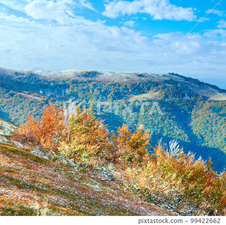 October Carpathian mountain Borghava plateau with first winter snow and autumn colorful bilberry bushes October Carpathian mountain Borghava plateau with first winter snow and autumn colorful bilberry bushes 99422662